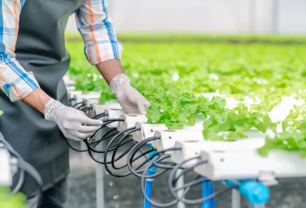 Modern plant biotechnology as a strategy in addressing climate change and attaining food security