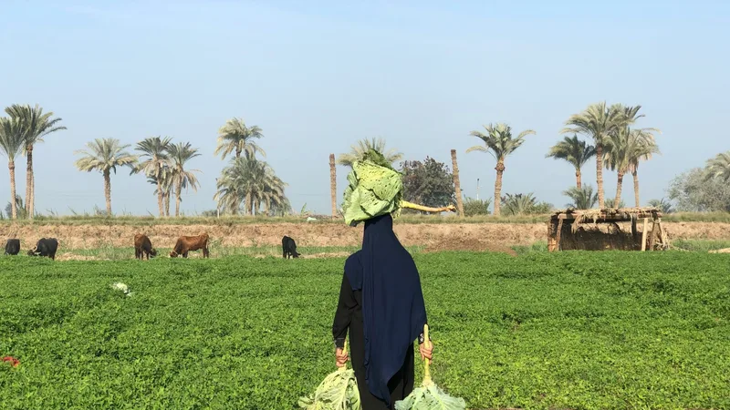 Egypt Targets 20% Growth in Agricultural Exports by 2025