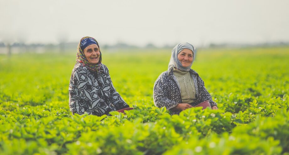 An empirical analysis of the determinants of food insecurity among smallholder farmers in Eastern Rwanda